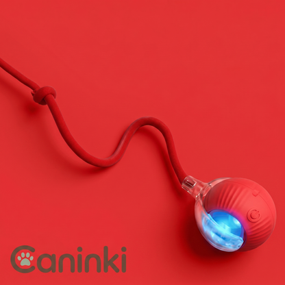 Balle Interactive pour Chat — Caninki 🐾
