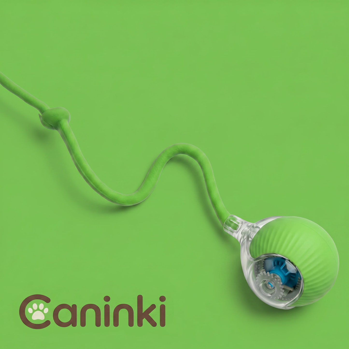 Balle Interactive pour Chat — Caninki 🐾