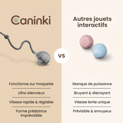 Balle Interactive pour Chat — Caninki 🐾